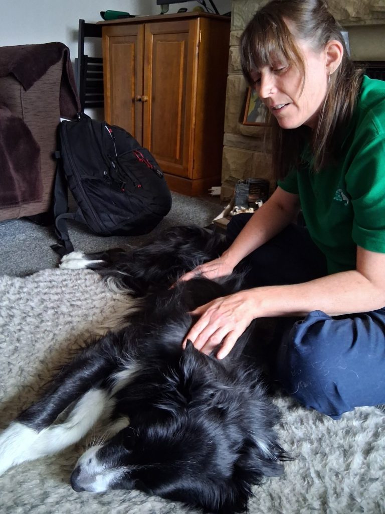 Canine Massage for dogs with arthritis around West Yorkshire